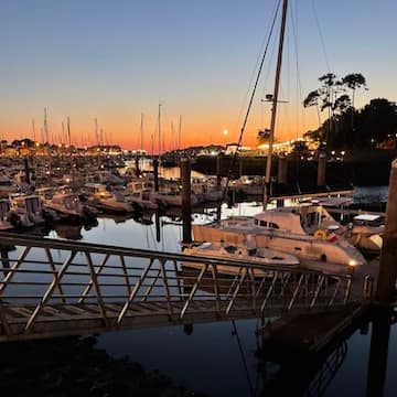 190E0F08-BBF8-46BA-A6A4-8A0669A4DC4A_1_201_a - copie