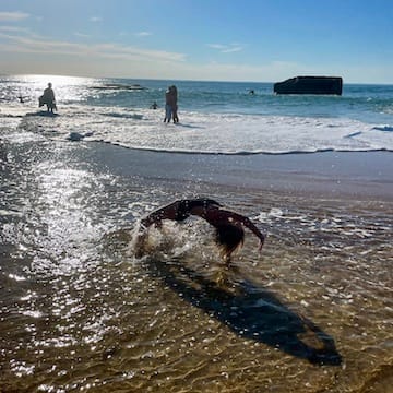 6C392182-386B-4378-9251-E2CCABF892D6_1_201_a - copie