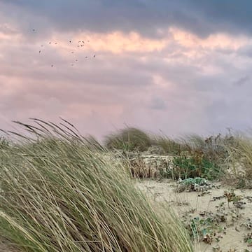 D2A92E6C-4DF2-4AAE-83C5-07276409167A_1_201_a - copie