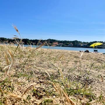 FC32F7A9-38CD-4B5D-B57E-C4133406D016_1_201_a - copie